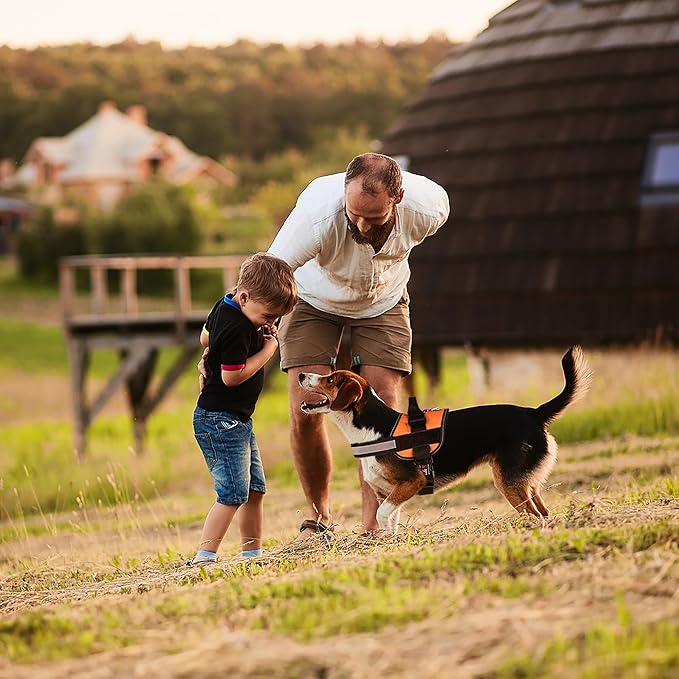 Dogline Dog Harness, Reflective No-Pull Adjustable Vest with Handle for Walking, Training, Breathable, No - Choke Harness for Small, Medium or Large Dogs Room for Patches Girth 22"-28" in Orange