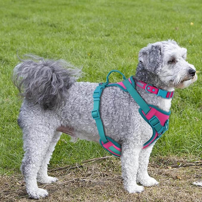 No Pull Dog Harness Adjustable Soft Padded Pet Vest with Control Handle Adorable Daily Harness for Dogs（Pink Peacock XS）