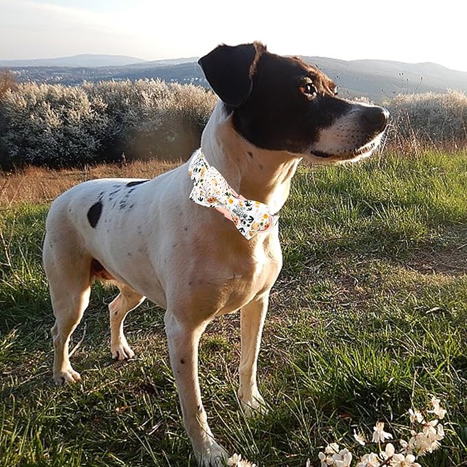Elegant little tail Dog Collar, Floral Print Pet Collar with Bow Girl Cotton Bowtie Collars Spring Dog Collars Gift Adjustable Dog Collar for X-Small Dogs