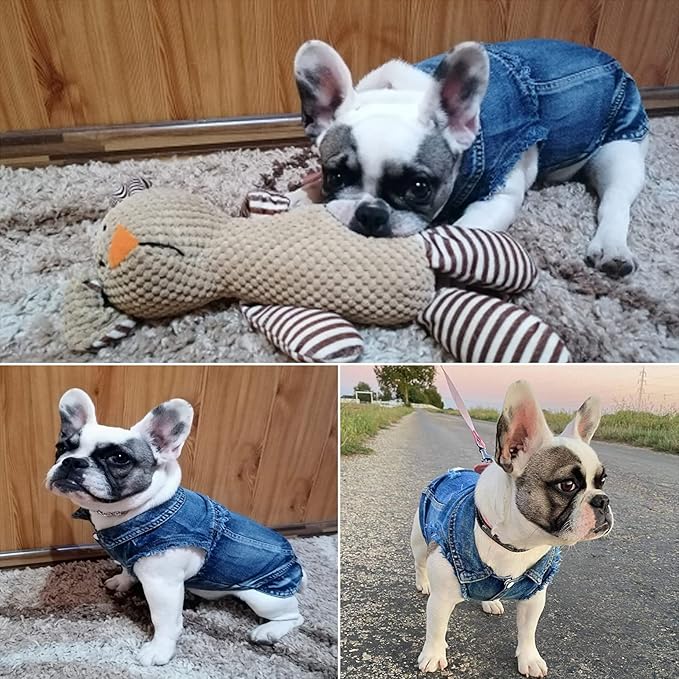 Jean Jacket, Blue Denim Lapel Vest Coat T-Shirt Costume for Small Medium Dogs Cats, Cute Girl Boy Puppy Clothes, Comfort and Cool Apparel, Machine Washable Outfits (XXL, Blue)