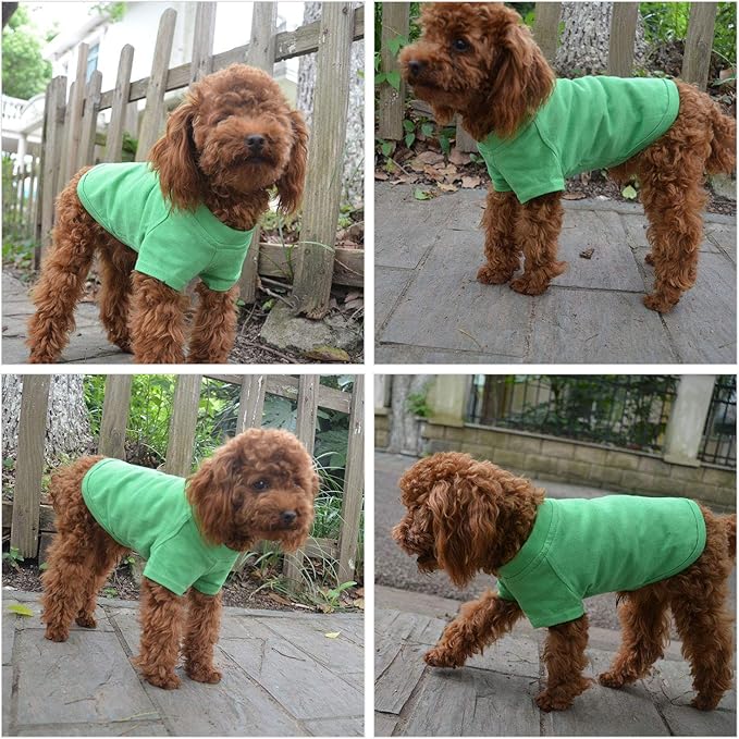 Lovelonglong Pet Clothing Dog Costumes Basic Blank T-Shirt Tee Shirts for Small Dogs Green M