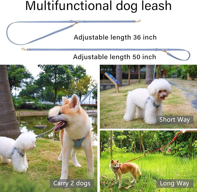 CHEDE No Pull Puppy Harness and Multifunction Dog Leash Set- 8 Colors Soft Adjustable No Choke Escape Proof Cute,Lightweight Pet Vest Harness for Small and Medium Dog (XXS, Blue)