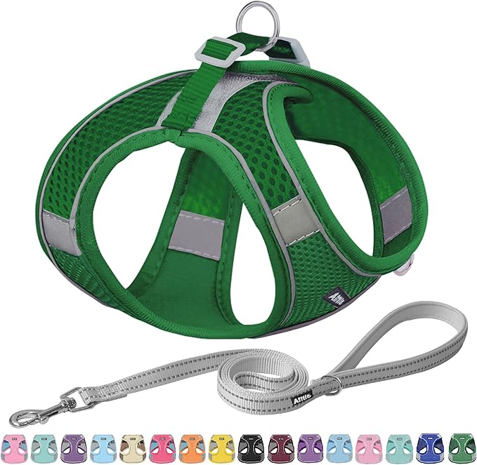 AIITLE Comfortable Dog Harness and Leash Set for Walking - Spring Step in Vest Harness,Reflective Bands, Adjustable No Pull Puppy Essentials, for Small Dogs and House Cats Green XS