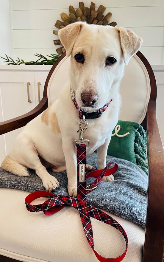 Lucky Love Dog - Easy Click Buckle Dog Collar with Leash Set Combo, Durable & Comfortable for Male & Female Dogs, Pet Collar for Small to Large Dogs, Secure Fit - Heywood Combo, XL