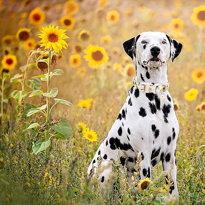 Elegant little tail Dog Collar,Sunflower Pattern Pet Collar Cute Durable Spring Female or Male Adjustable Cotton Pet Collar with Quick Release Buckle for X-Small Puppy