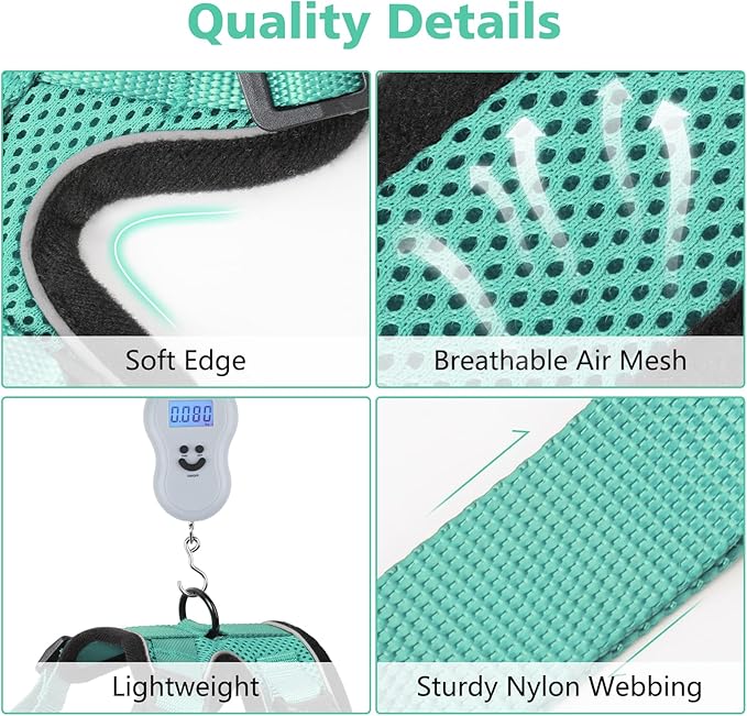 Dooradar Cat Harness and Leash Set, Escape Proof Safe Adjustable Kitten Vest Harnesses for Walking, Easy Control Soft Breathable Mesh Jacket with Reflective Strips for Cats, Green, S