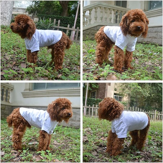 Lovelonglong Pet Clothing Dog Costumes Basic Blank T-Shirt Tee Shirts for Small Dogs White L