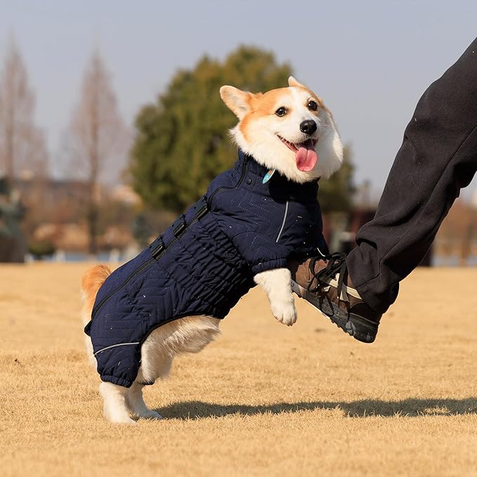 Lovelonglong Warm Dog Coat Double Layers Dog Vest, 4 Legs Covered Windproof Waterproof Reflective Warm Dog Vest Outdoor Skating Dog Costume for Corgis Dachshund Dog Navyblue D-S