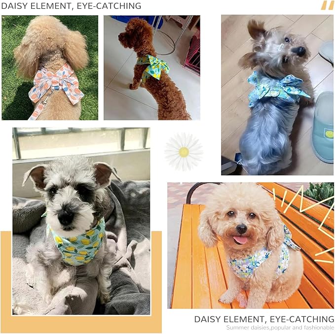BAEJMJK Dog Harness and Leash Set with Bow Knot No Pull Pet Daisy Floral Harness with D-Ring Soft Mesh Dog Harness Vest Set Escape Proof Princess Puppy Harness for Small Girl Dogs Cats（Blue A XS）