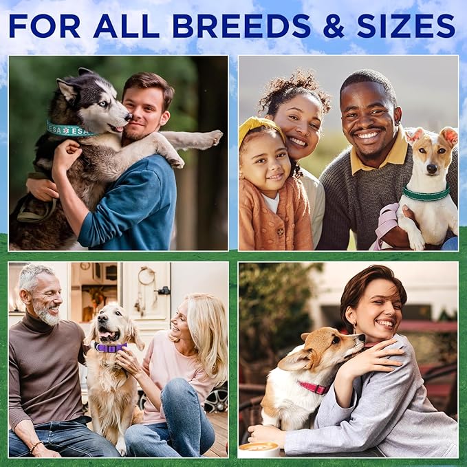 TECEUM Reflective Pet Collar – Teal – XL – Extra Soft Padding – Basic Nylon Dog Collar – Quick Release Buckle – Fits Small, Medium and Large Dogs, Puppies, Cats – ESA & Service Dog Options