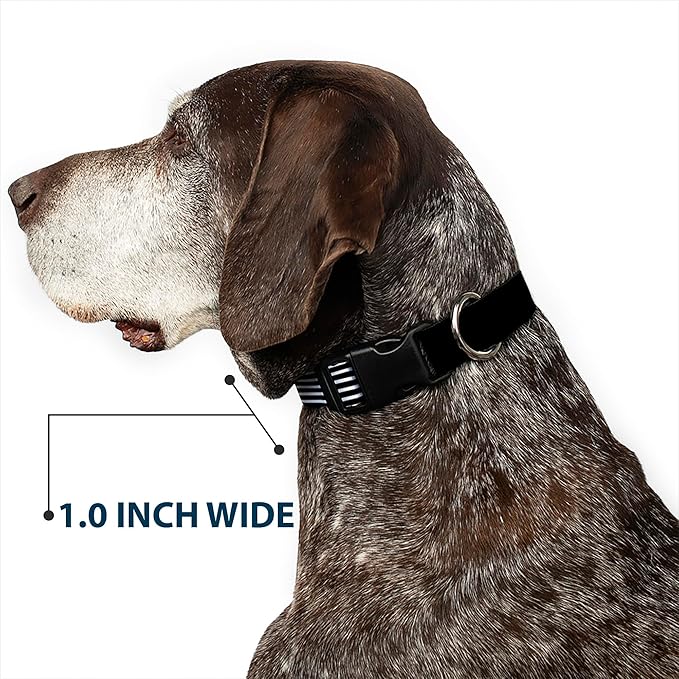 Dog Collar Plastic Clip Americana Flag We The People Black White 8 to 12 Inches 0.5 Inch Wide