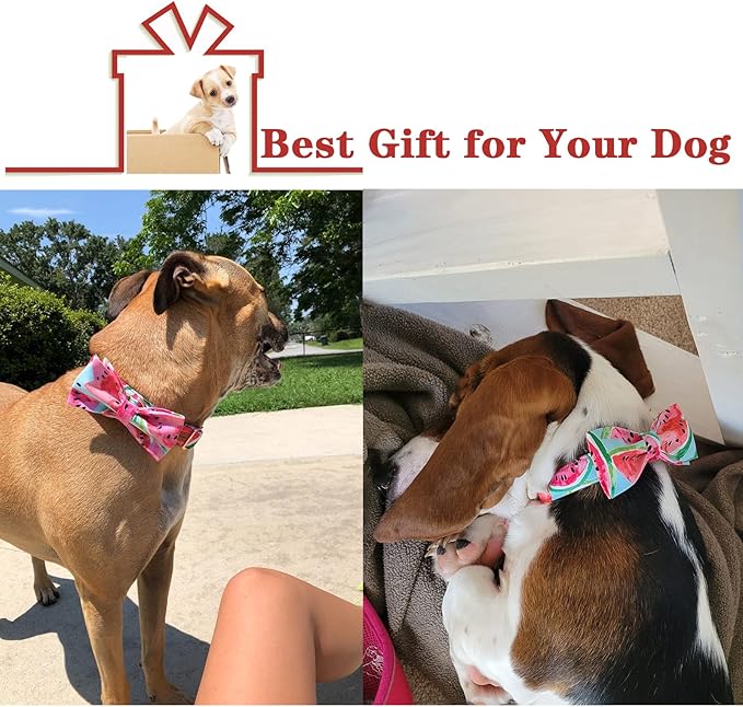 Unique style paws Bowtie Dog Collar Cotton Watermelon Adjustable Summer Collar for Small Medium Large Dogs - XL