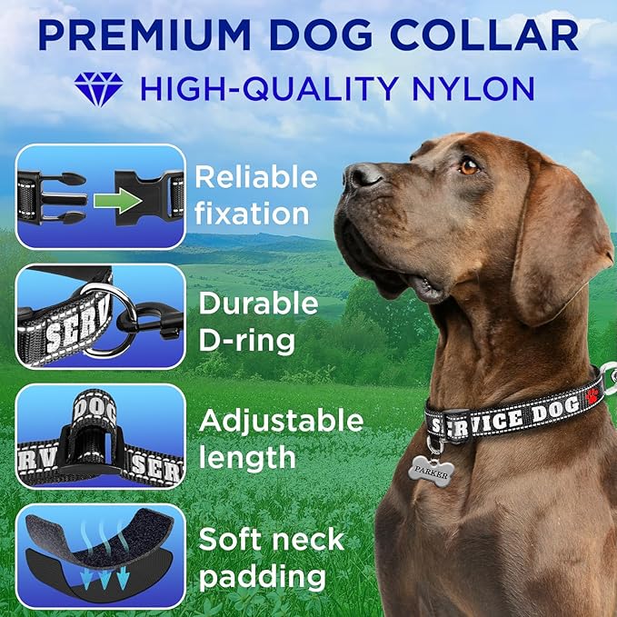 TECEUM Reflective Pet Collar – Black - Service Dog – L – Extra Soft Padding – Basic Nylon Dog Collar – Quick Release Buckle – Fits Small, Medium and Large Dogs, Puppies, Cats