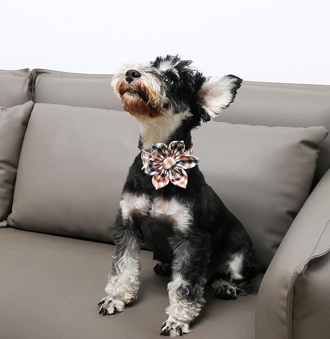 Unique Style Paws Cotton Dog Collar with Bow Floral Plaid Colorful Dog Collar with Bow Tie for Small Medium Large Dogs Pets Gifts