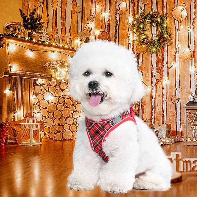 No Pull Dog Harness and Leash Set for Extra-Small Dogs Puppy Cats Ajustable Classic Plaid Dog Vest Harness Soft Mesh Reflective Step-in Harness Escape Proof for Walking Red XS