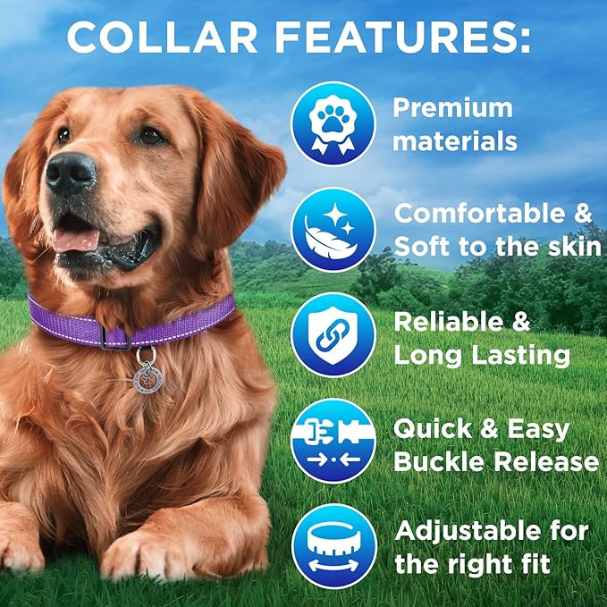 TECEUM Reflective Pet Collar – Purple – L – Extra Soft Padding – Basic Nylon Dog Collar – Quick Release Buckle – Fits Small, Medium and Large Dogs, Puppies, Cats – ESA & Service Dog Options