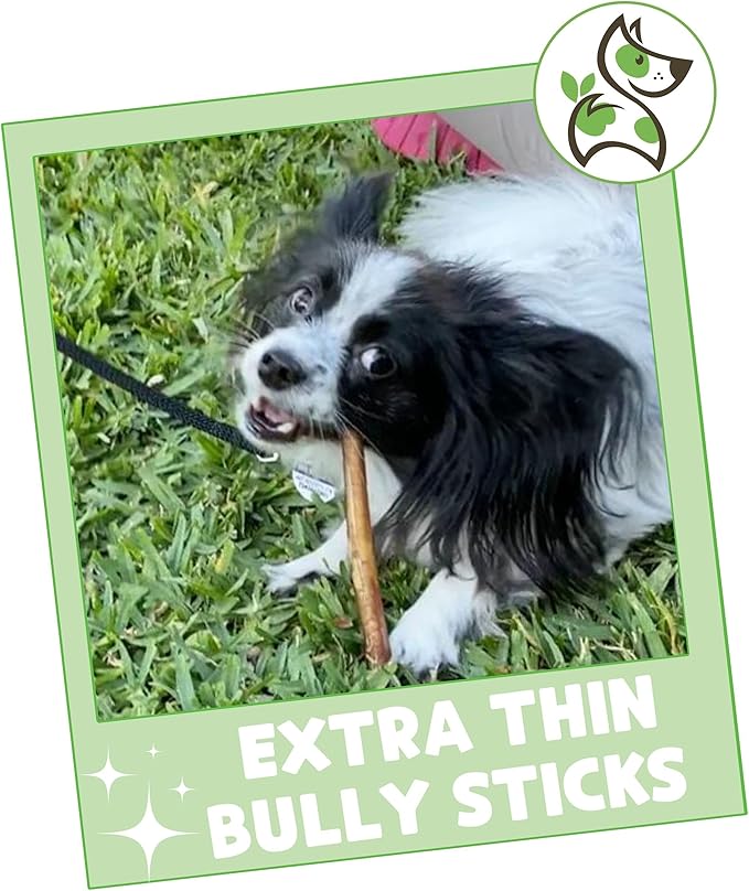 Nature Gnaws Extra Thin Bully Sticks for Small Dogs 5-6" (50 Count) - Long Lasting for Light Chewers and Puppies - Natural Beef Dog Chew Bone