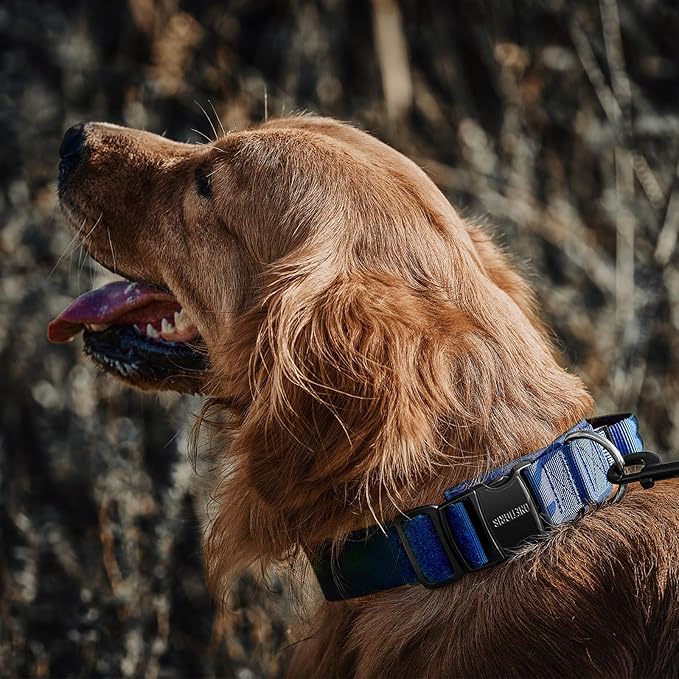 OneTigris Tough Dog Collars, Tactical Dog Collar with Handle, Milltary Adjustable Dog Collar with Heavy Duty Metal Buckle for Training (Large,Blue)