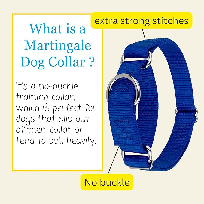 Country Brook Petz Martingale Dog Collar - Heavy-Duty Training Collar with No Buckle - Service Dog Collar for All Pups - Vibrant, Colorful Collection (Royal Blue, 3/4 Inch, Small)