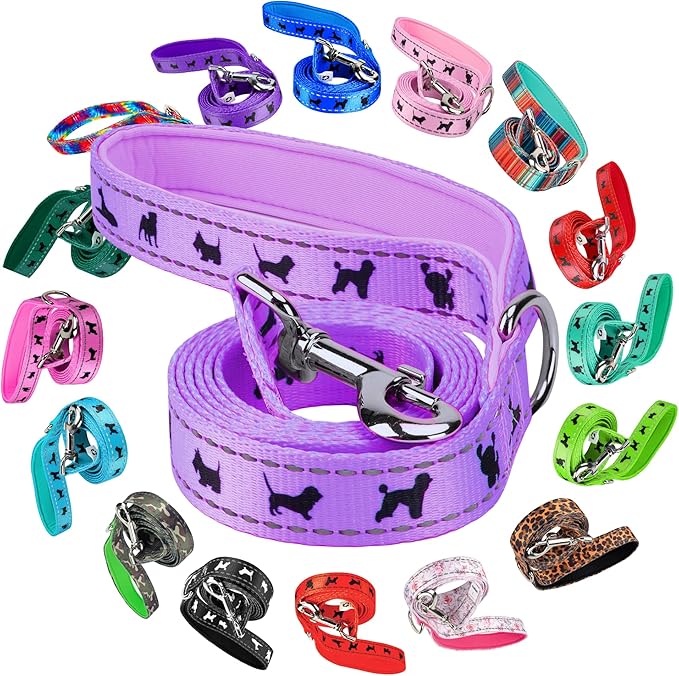 EcoBark Dog Leash - 4 FT / 5 FT / 6 FT Reflective Dog Leash- Eco-Bright Dog Leashes with Padded Handle - Strong Heavy Duty Dog Leash - Nylon Dog Leash for Small and Medium Dogs (Lavender Dog Leash)
