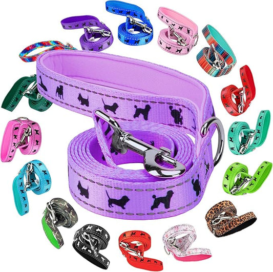 EcoBark Dog Leash - 4 FT / 5 FT / 6 FT Reflective Dog Leash- Eco-Bright Dog Leashes with Padded Handle - Strong Heavy Duty Dog Leash - Nylon Dog Leash for Small and Medium Dogs (Lavender Dog Leash)
