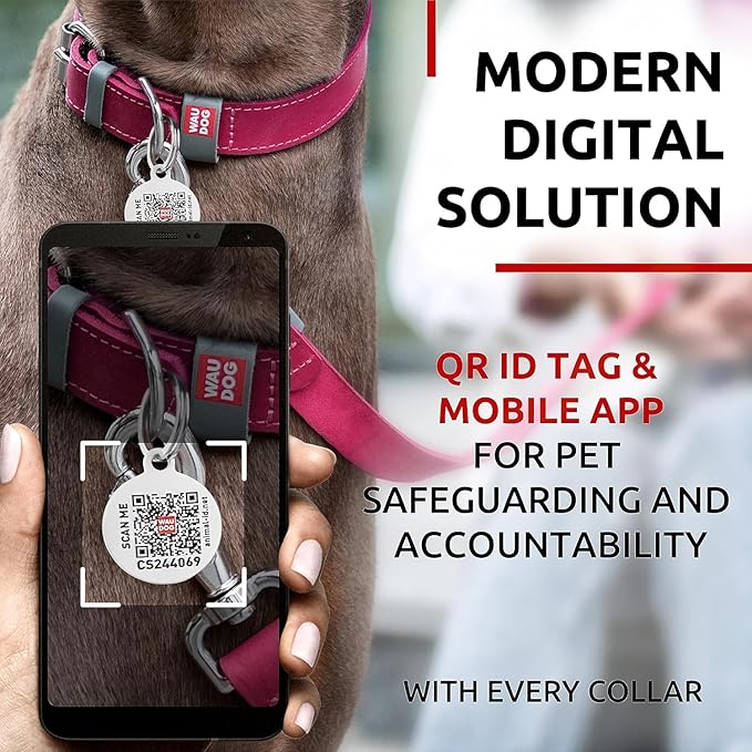 WAUDOG Long Lasting Leather Dog Collar for Large Dogs, Medium & Small Dogs - Adjustable Classic Puppy Collars for Large Breed Dogs - Boy & Girl Dog Collars with Durable Buckle, D-Ring & QR Dog Tag
