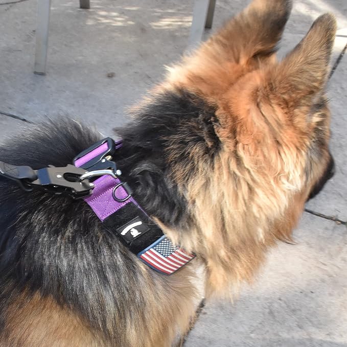 Tactical Dog Collar 2 Inch Wide Thick Heavy Duty Military Style with Metal Buckle, Adjustable for Medium - Large Breeds, Durable K9 Training Gear with Patch Area, USA Flag Patch, Strong and Secure Fit