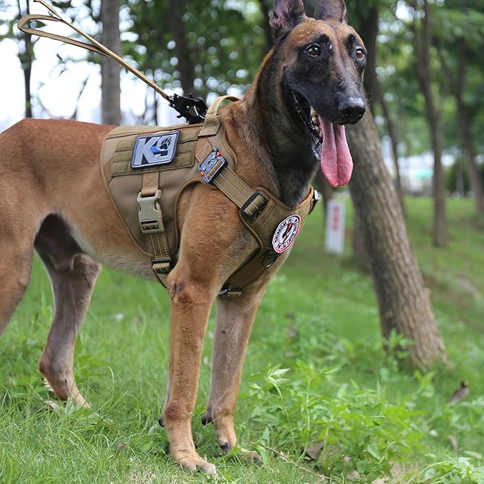 ICEFANG Tactical Dog Harness,Large Size, 2X Metal Buckle,Working Dog MOLLE Vest with Handle,No Pulling Front Leash Clip,Hook and Loop Panel