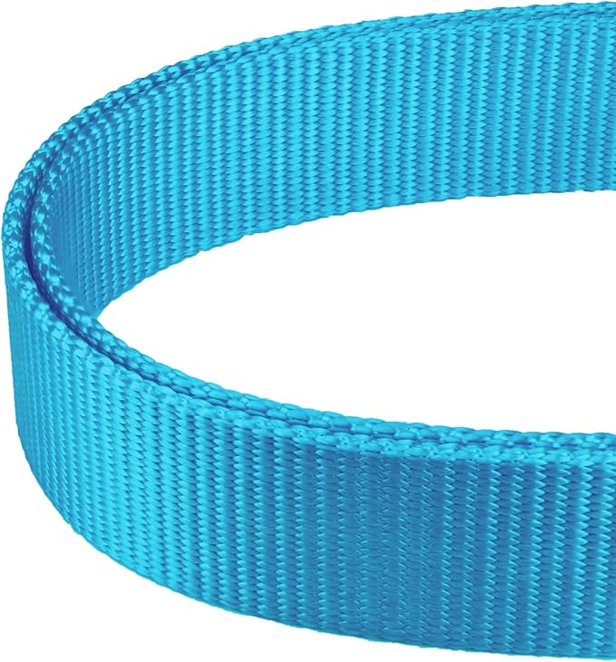 Mikivery Martingale Dog Collar Nylon Adjustable and Safety Training Colourful Comfortable Metal Buckle Pet Collars for Small Medium and Large Dogs(Ice Blue,L)