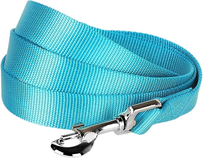 Blueberry Pet Essentials 19 Colors Durable Classic Dog Leash 5 ft x 3/4", Medium Turquoise, Medium, Basic Nylon Leashes for Dogs