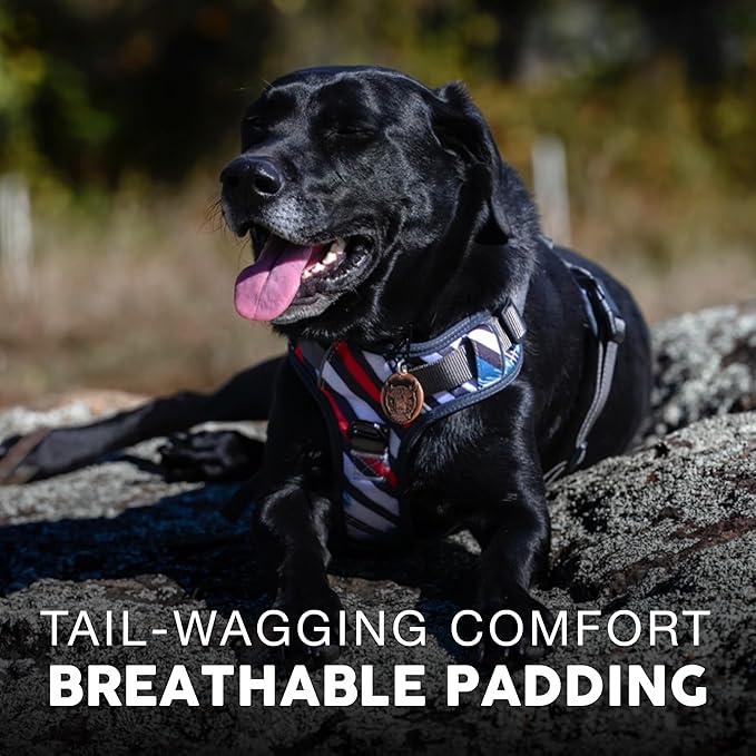 Embark Adventure Dog Harness, Reflective Trim No Pull Dog Harness for Large Dogs - Military Grade Nylon, Front Clip with Gel Lined Handle.