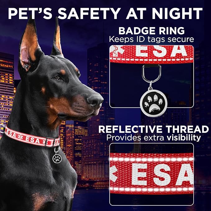 TECEUM Reflective Pet Collar – Red - ESA – XL – Extra Soft Padding – Basic Nylon Dog Collar – Quick Release Buckle – Fits Small, Medium and Large Dogs, Puppies, Cats – ESA & Service Dog Options