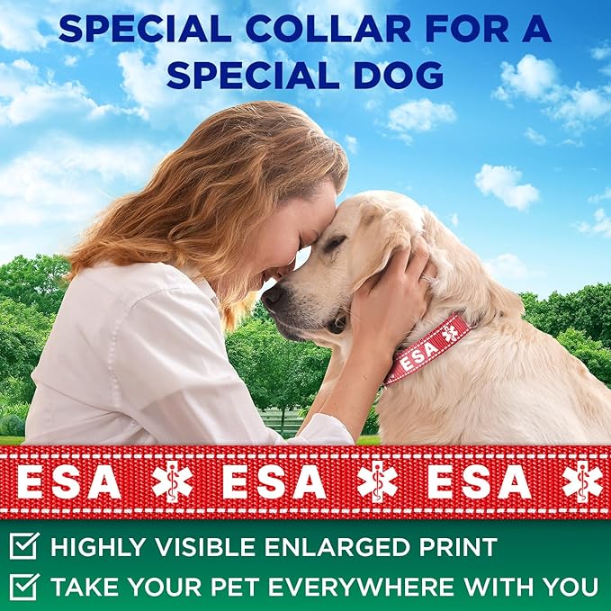 TECEUM Reflective Pet Collar – Red - ESA – S – Extra Soft Padding – Basic Nylon Dog Collar – Quick Release Buckle – Fits Small, Medium and Large Dogs, Puppies, Cats – ESA & Service Dog Options