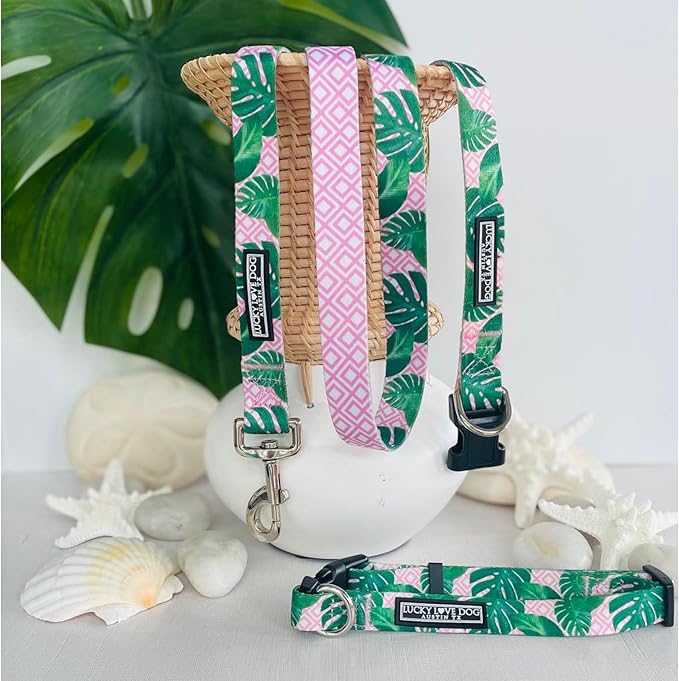 Lucky Love Dog, Tropical Matching Dog Collar & Leash Set, Soft & Comfy, Vivid Pink Color Collar and Leash for Female Male Dogs - (Medium, Laguna Combo)