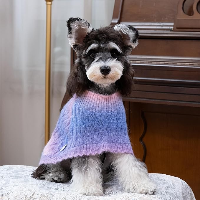 Rainbow Mohair Dog Poncho, Cold Weather Cable Dog Sweater for Small Dogs, Classic Turtleneck Thick Puppy Clothes with Leash Hole DS93XS