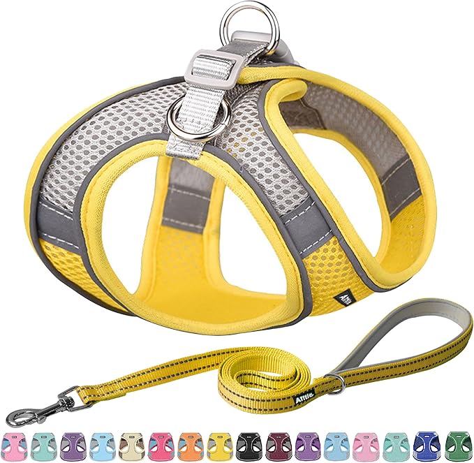 AIITLE Small Harness for Puppy with A Leash - Spring Dog Vest Harness with Super Breathable Mesh, Reflective No-Pull Pet Harness for Outdoor Walking, Camping for Small Dogs, Cats Yellow XXS