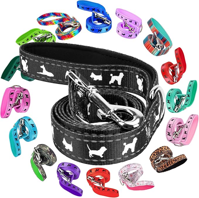 EcoBark Dog Leash - Soft & Reflective Comfort Training Leashes with Padded Handle - Strong Durable Heavy Duty - Training and Pulling for Small, Medium or Large Dogs (Black)