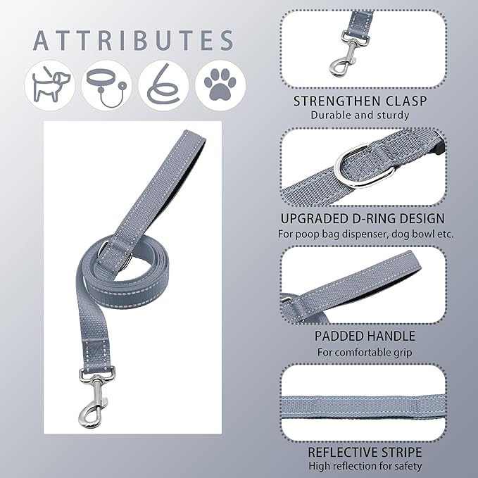 Reflective Dog Collar with Safety Locking Buckle, Adjustable Soft Breathable Nylon Collars for Small, Medium and Large Dogs(Collar+Leash L Gray)