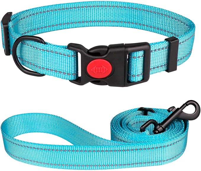 Reflective Dog Collar and Leash Set with Safety Locking Buckle Nylon Pet Collars Adjustable for Small Medium Large Dogs 3 Sizes(L)