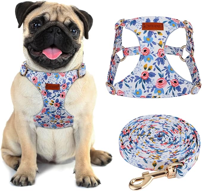 CHEDE No Pull Floral Pattern Dog Harness - Lightweight and Soft, Adjustable Small Dog Harness and Leash Set, with Dog Leash, Suitable for Puppy Small and Medium-Sized Dog (M, Blue Rose)