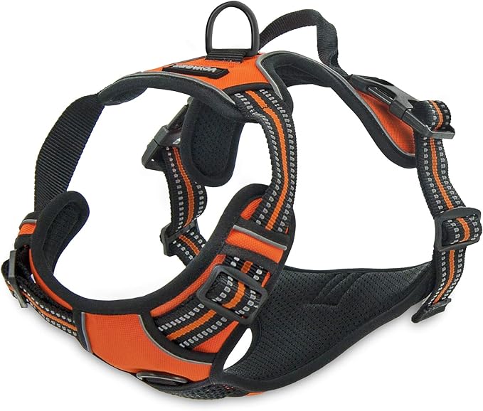 No Pull Dog Harness for Large Dogs, Dual Leash Attachments, Adjustable Soft but Strong Pet Harness with 3M Reflective Technology, Orange Nylon, XS (Chest: 13-16")