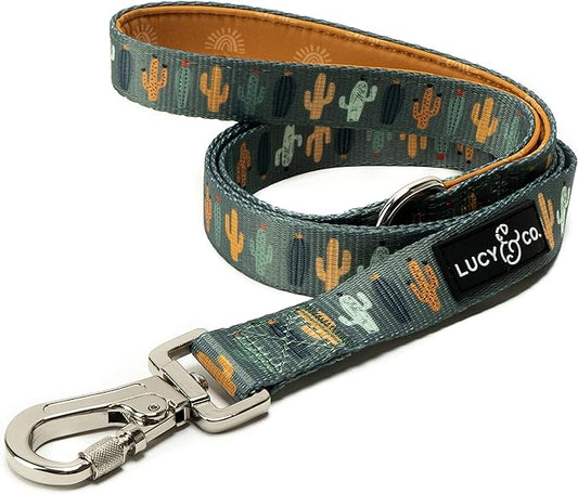 Lucy & Co. 5 Foot Designer Dog Leash – Puppy Leash – Pet Accessories & Supplies (Looking Sharp, Small)