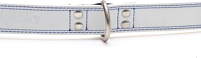 Premium Leather Collars with Stainless Steel Buckles (18"-21", White)