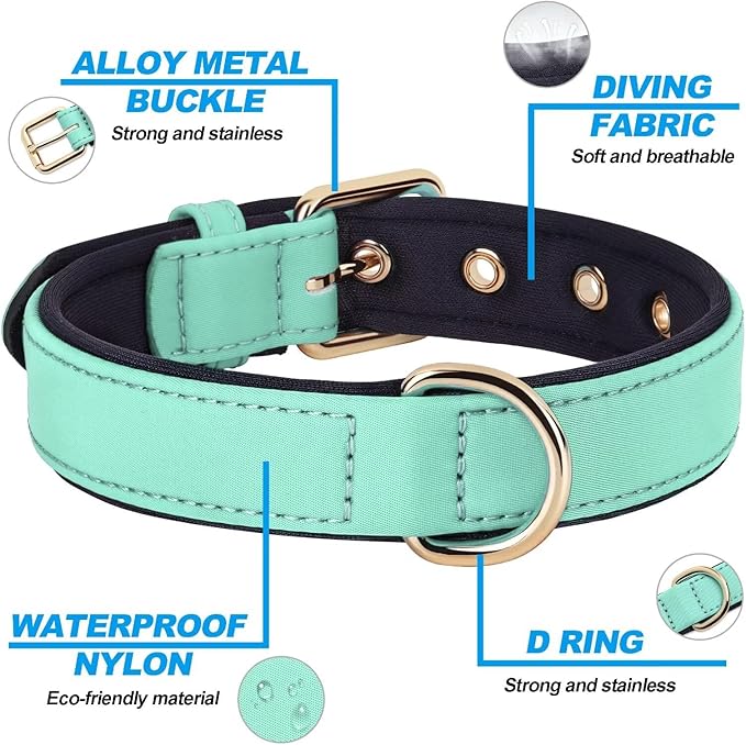 Didog Soft Padded Dog Collars for Medium Dogs, Lightweight and Breathable Dog Collar Waterproof with Metal Buckle, Green, L