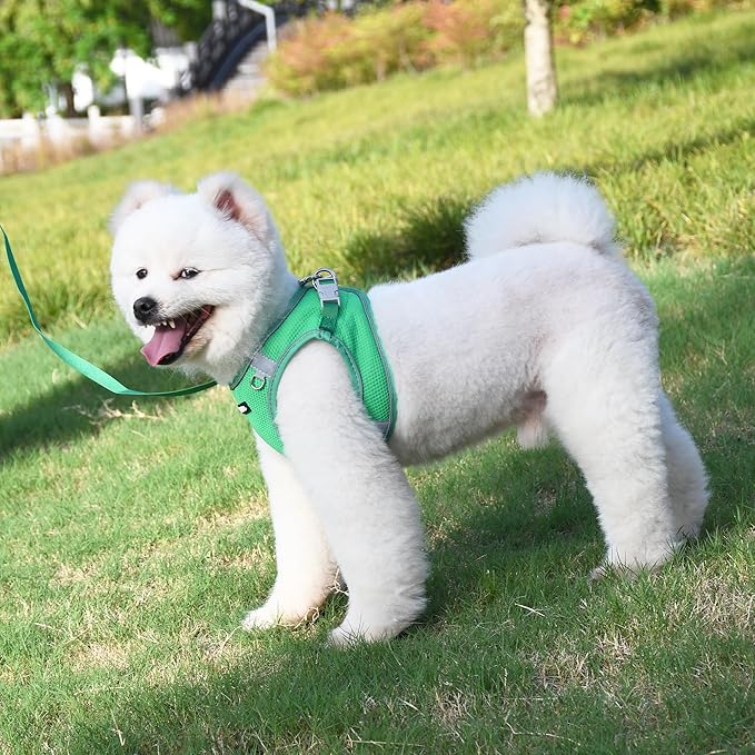 AIITLE Dog Harness for Medium Sized Dog, No-Pull Dog Vest with a Leash, Breathable Mesh, Reflective Stripes, Escape Proof Pet Outdoor Harnesses Puppy Essentials for Medium Dogs Green M
