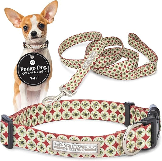 Lucky Love Dog - Easy Click Buckle Dog Collar with Leash Set Combo, Durable & Comfortable Collar for Male & Female Dogs, Pet Collar for Small to Large Dogs, Secure Fit - Pongo Combo, X-Small