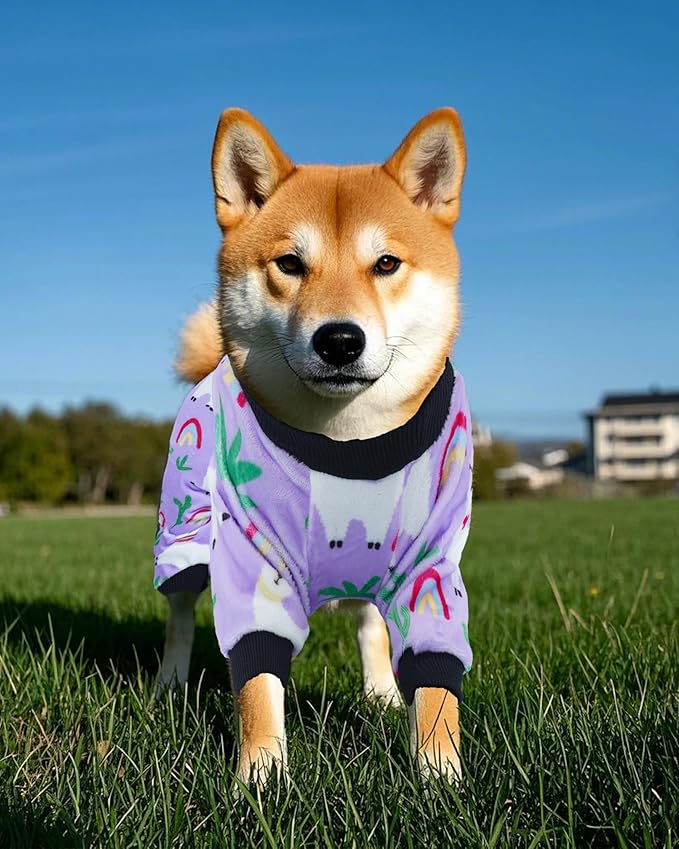 PET SHOW 4 Pack Small Dog Pajamas Spring Dog Clothes for Medium Dogs Girl Boy Soft Stretchy PJs Bee Ladybug Jumpsuit Puppy Floral Onesies Outfits with Sleeve Pets Dachshund Costume(XXL, Spring)