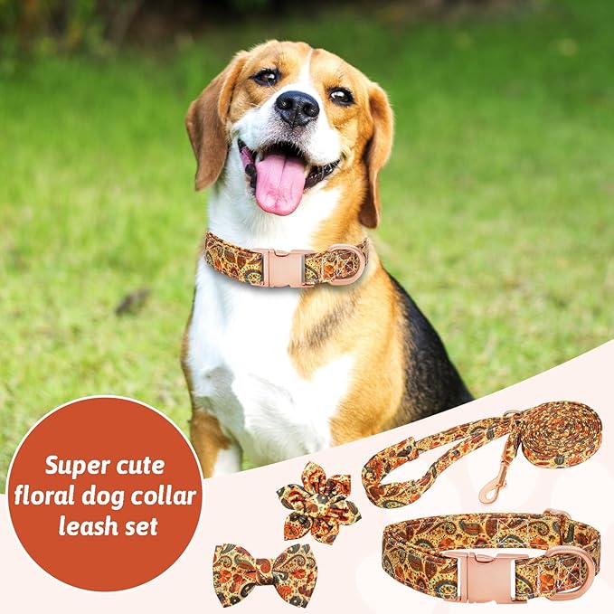 Dog Collar and Leash Set Girls Adjustable Puppy Collars with Floral Bow Tie for Small Medium Large Female Dogs, Orange Paisley,M