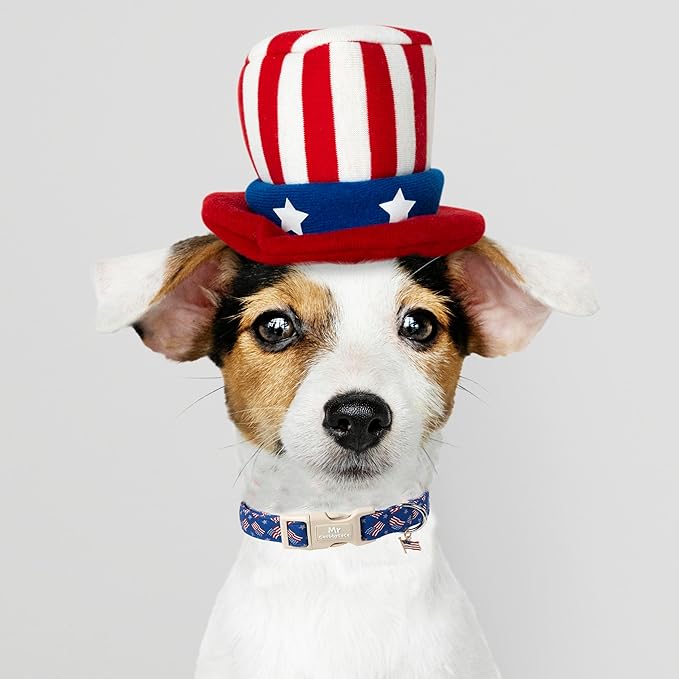 American Flag Dog Collar, 4th of July Puppy Collar with Plastic Buckle, Patriotic Puppy Collar for Small Medium Large Dogs