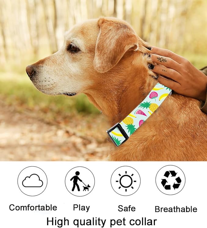 Dog Collar, Cute Dog Collar for Small Medium Large Dogs, Personalized Adjustable Soft Pet Collars with Quick Release Buckle for Walking Running, Watermelon&Pineapples